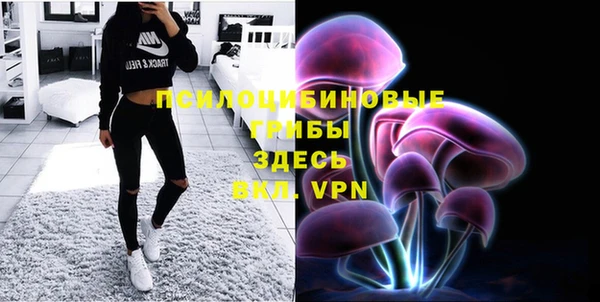 шишки Киренск