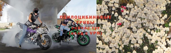 гидра Алзамай