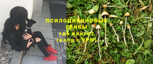 гидра Алзамай